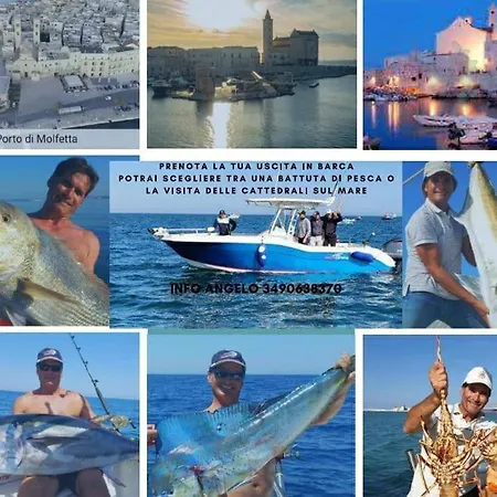 アパート 3a モルフェッタ